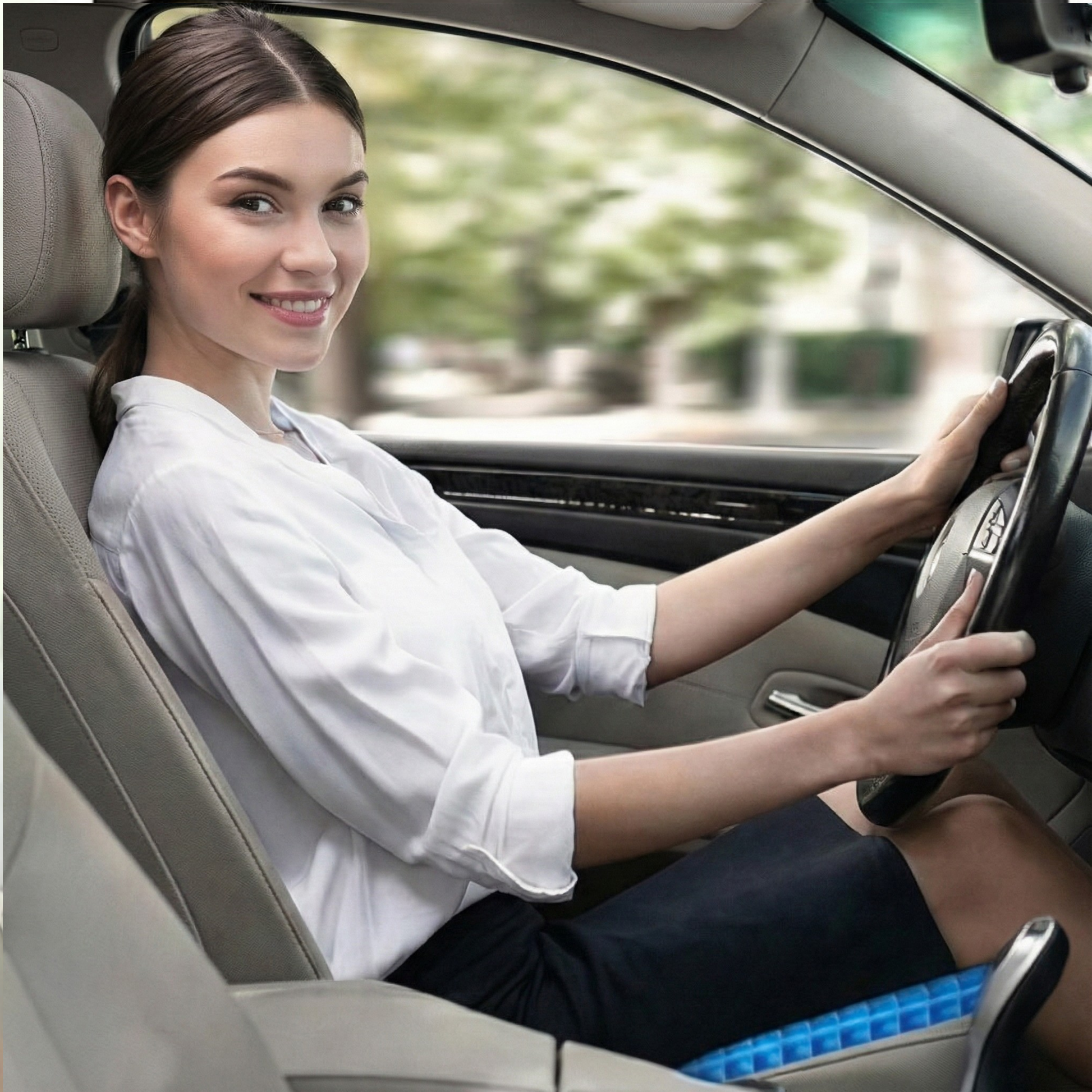 Healistry Seat Cushion